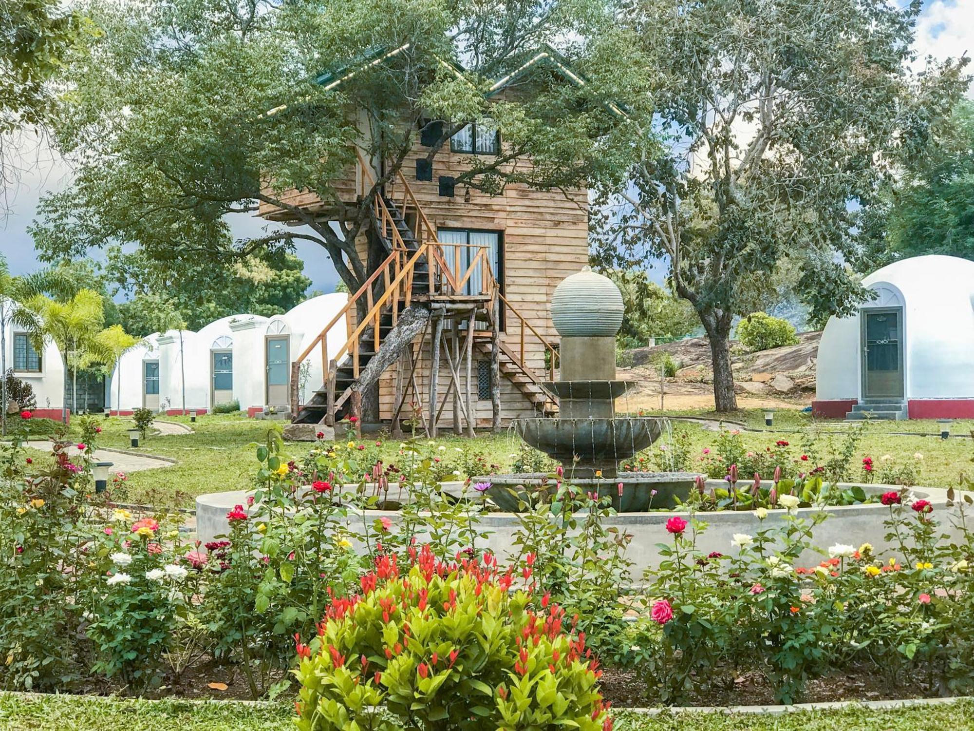 The Lion Kingdom Sigiriya Hotel Bagian luar foto